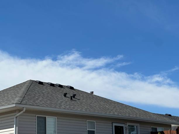 Best Emergency Roof Repair  in Elizabeth City, NC